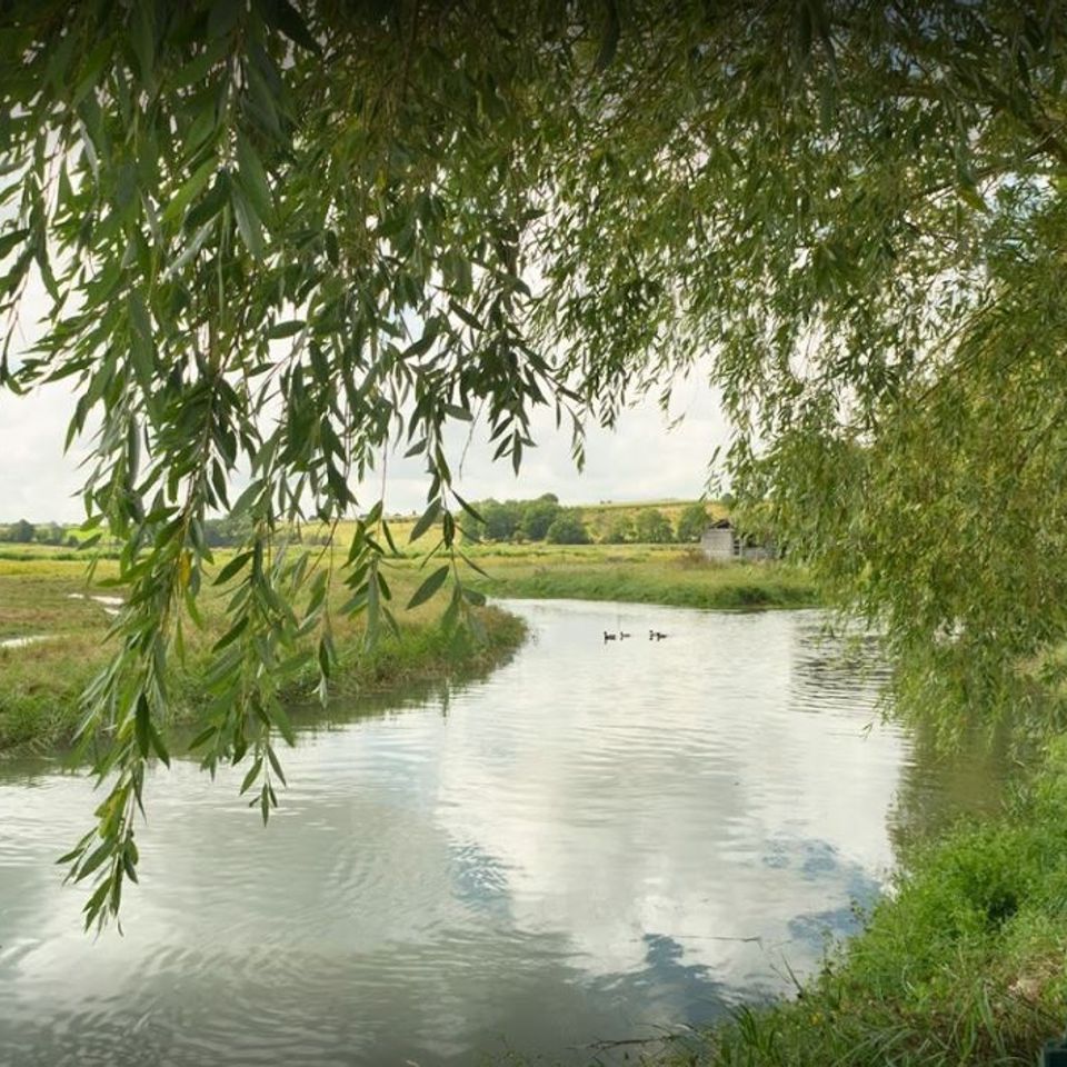 Camping Le Clos du Moulin photo 2
