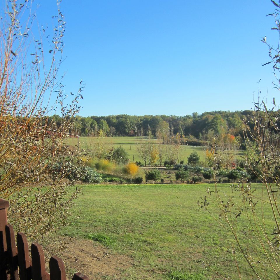 Camping L'Oseraie les Philiberts photo 4