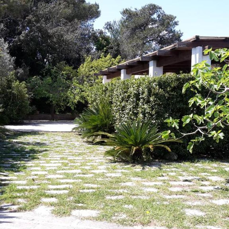 Camping Agriturismo Vignavecchia photo 4
