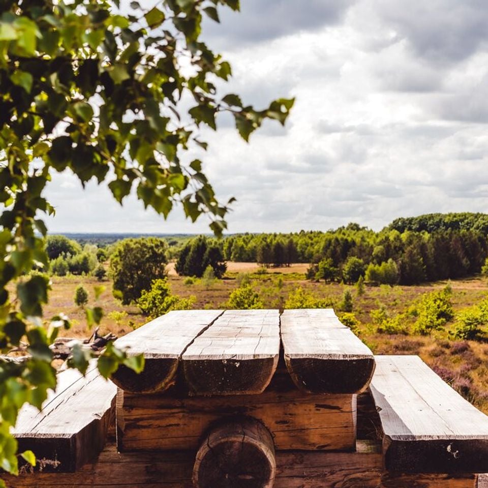 Where is Roompot Bospark De Schaapskooi located? - Photo 3