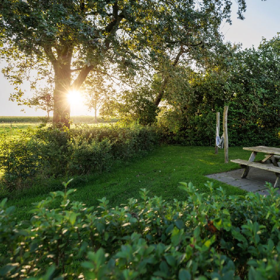 Camping Vreehorst photo 4