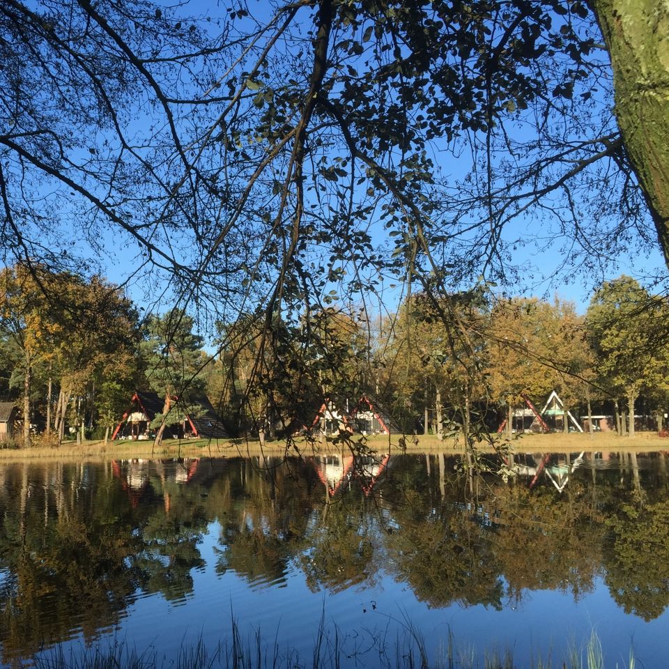 Vakantiepark 't Vosseven photo 3