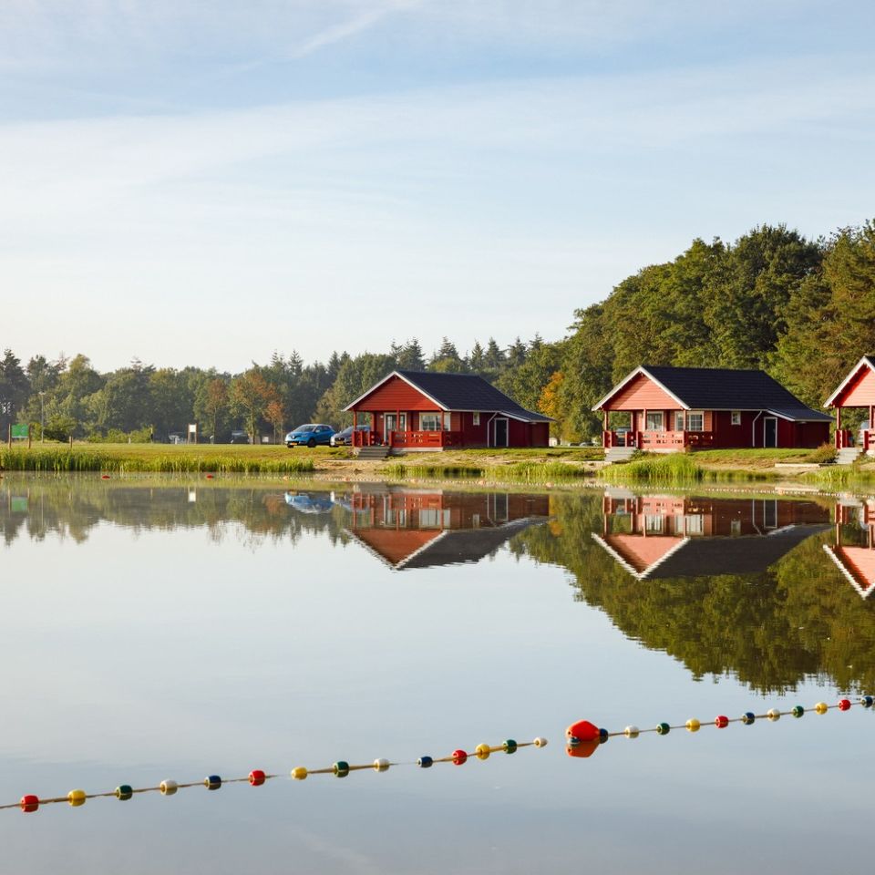 RCN Vakantiepark de Flaasbloem - Photo 3