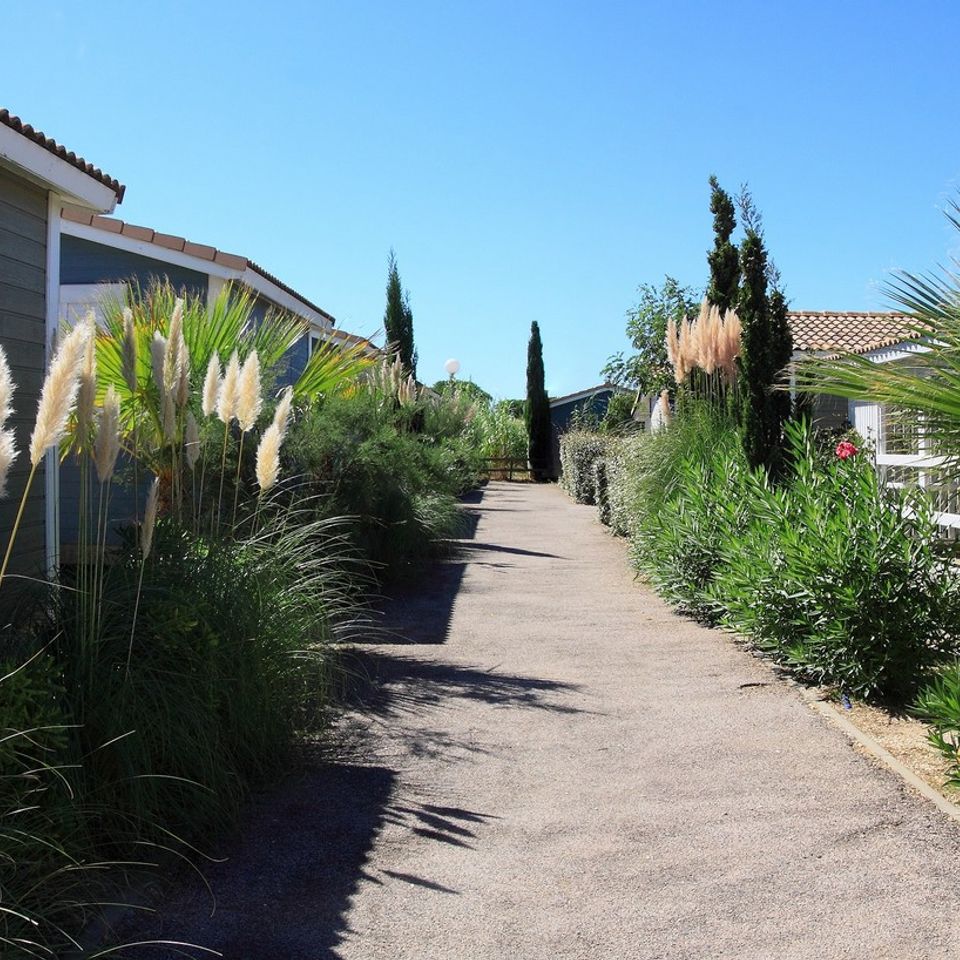 Camping Le Hameau de Cannisses photo 4