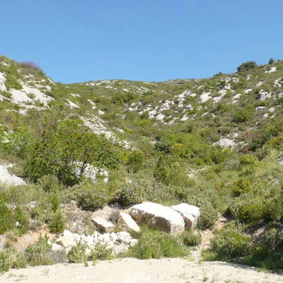 Camping de Puyloubier-Aquadis Loisirs photo 2