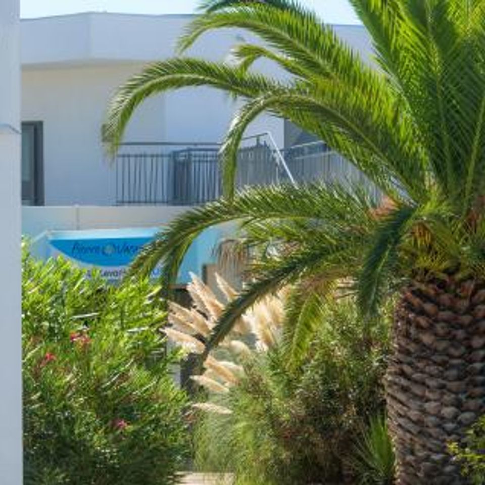 Pierre & Vacances Residence Le Levant - Photo 3
