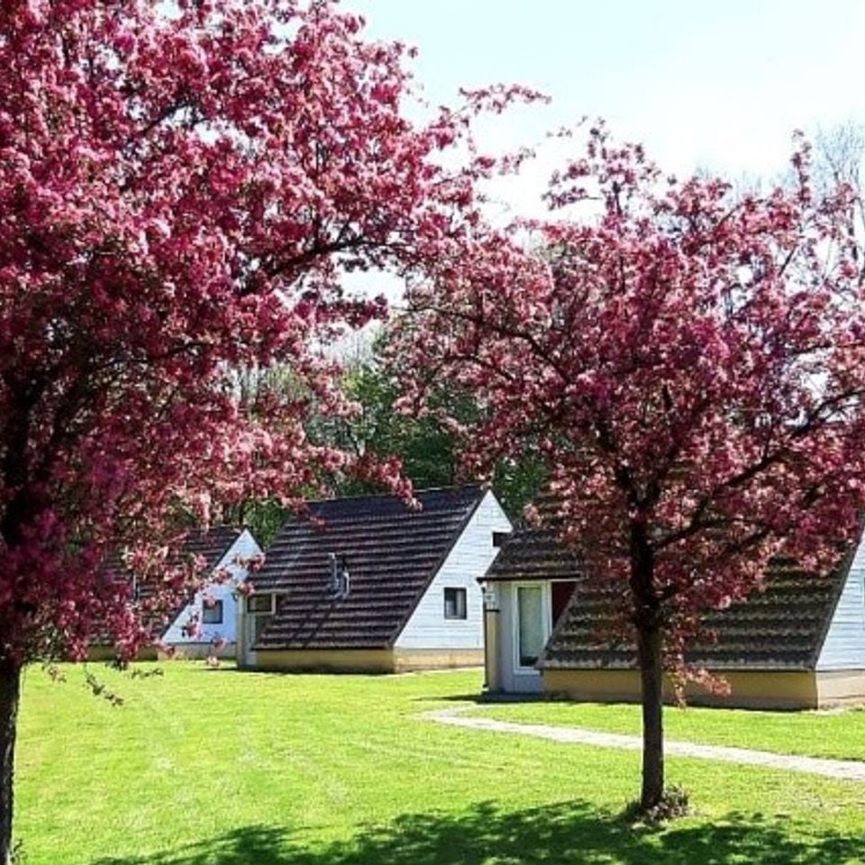 Groenpark Simpelveld - Photo 3