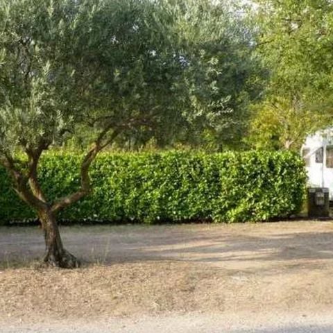 Kampeerplaats - Standplaats (auto + caravan/tent + elektriciteit + water)