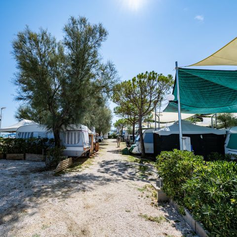 Kampeerplaats - Piazzola piccola 2 personen inbegrepen