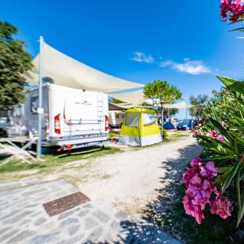 Kampeerplaats - Piazzola piccola 2 personen inbegrepen