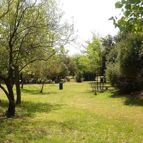 Stellplatz - Stellplatz Zelt