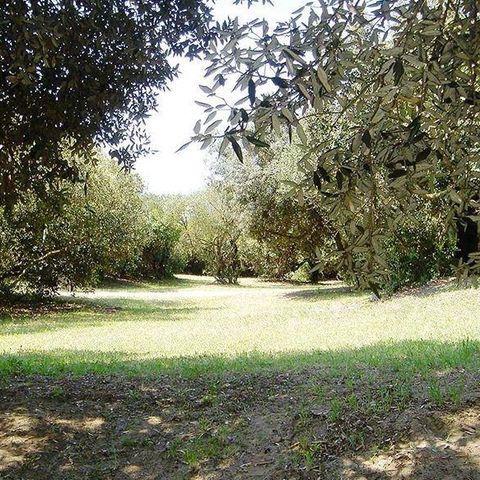 PIAZZOLA - Piazzola per caravan