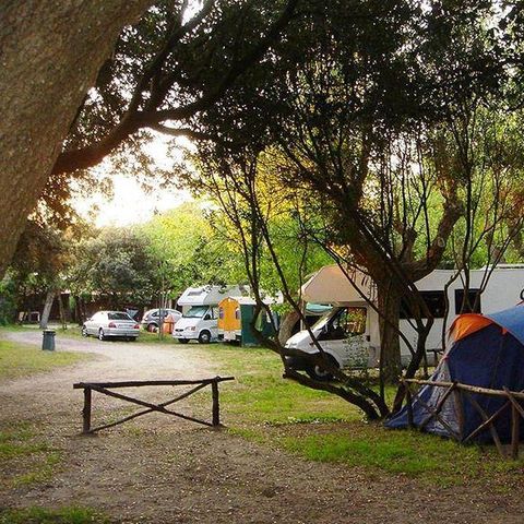 Kampeerplaats - Staanplaats caravan