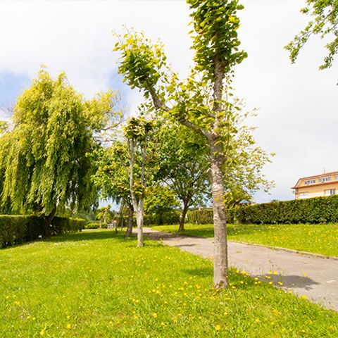 PLOT - campervans and caravans