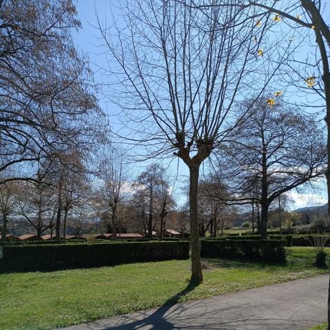 PARCELA - Parcela Camper (no se permiten tiendas de campaña)