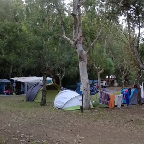 Kampeerplaats - 2 personen inbegrepen