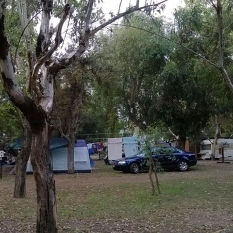 PLOT - 2 people included