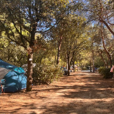 PARCELA - Parcela + coche + electricidad + 2 personas