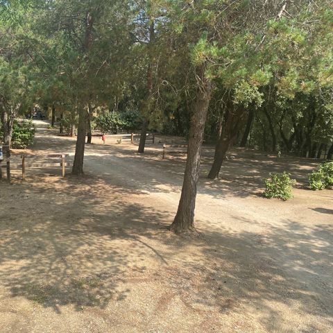 PIAZZOLA - Piazzola per ciclisti o escursionisti