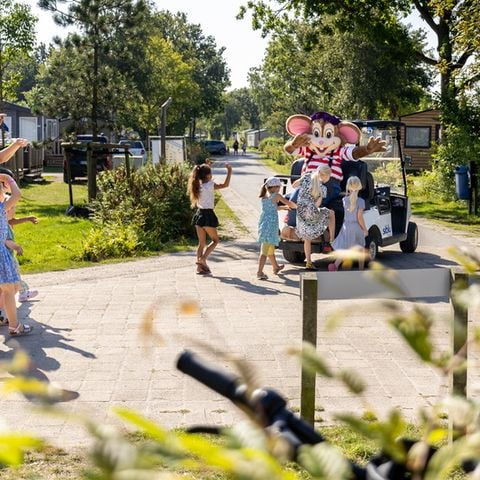 Siblu Camping Lauwersoog - Camping Het Hogeland - Image N°5