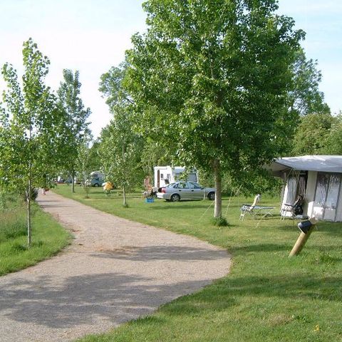 PIAZZOLA - Pacchetto