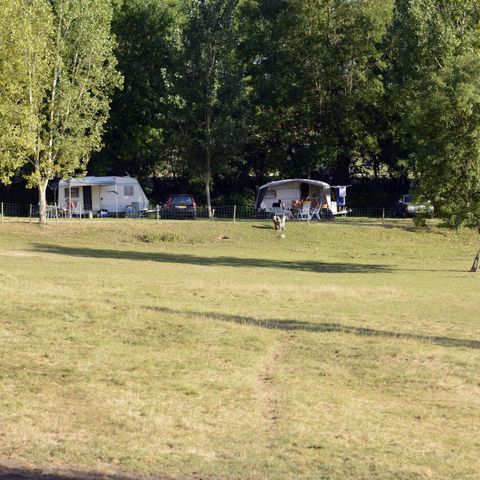 PIAZZOLA - Pacchetto Pitch