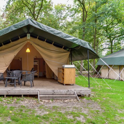 TENDA IN TELA E LEGNO 6 persone - Parco vacanze Herperduin - Tenda safari 6 persone