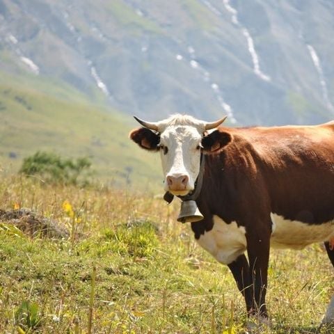 VVF Résidence Albiez-Montrond Maurienne - Camping Savoie - Image N°3