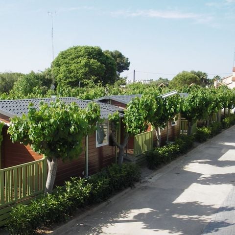 BUNGALOW 4 personas - Morea