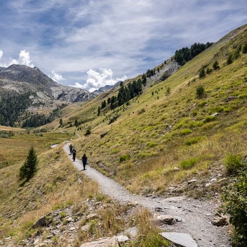 SOWELL - Marmotel & Spa - Camping Alpes-de-Haute-Provence - Image N°3