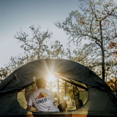 Pitch - Single location