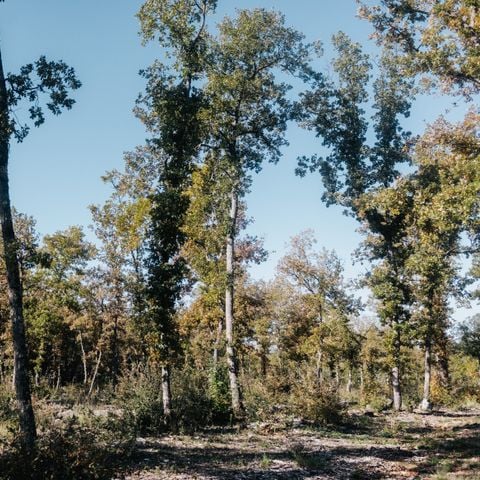 Kampeerplaats - Enkele locatie