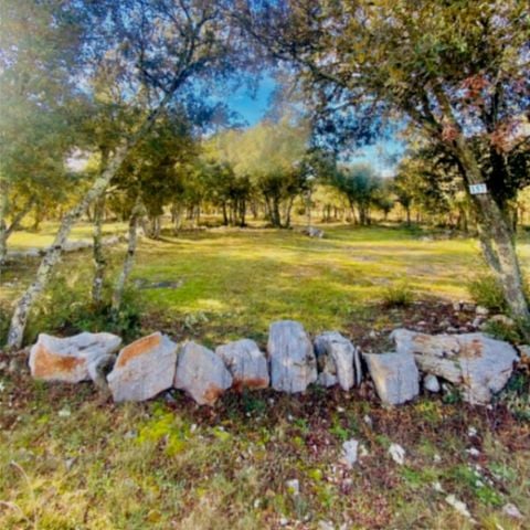 PARCELA - Campo de confort