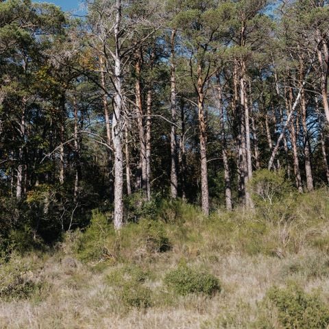 EMPLACEMENT - Emplacement Confort