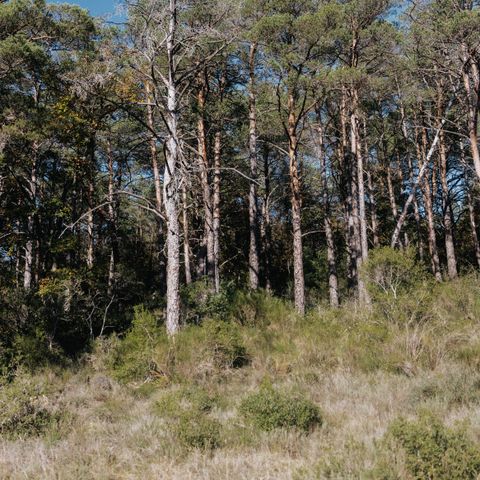 PARCELA - Campo de confort