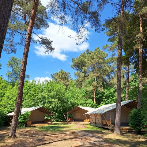 TENTE TOILE ET BOIS 4 personnes - Tente safari