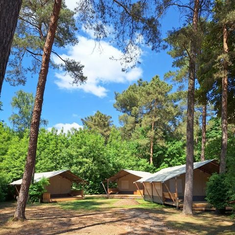 TENTE TOILE ET BOIS 4 personnes - Tente safari