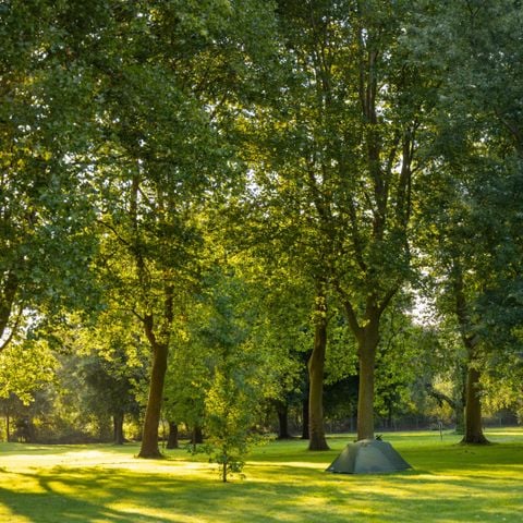 Stellplatz - Nature-Pauschale