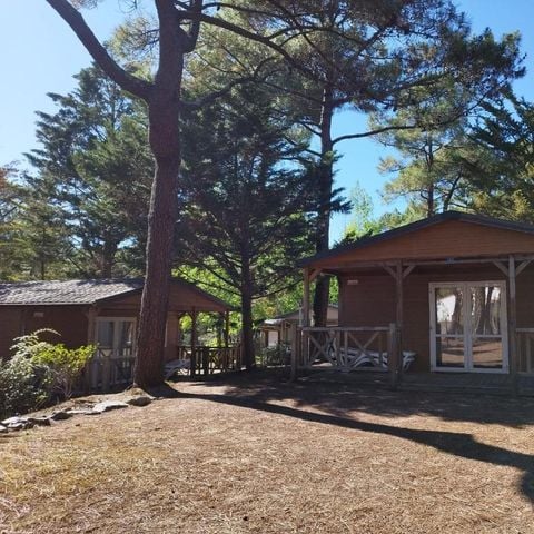 Domaine de la Presqu'île - Camping Vendée - Image N°6