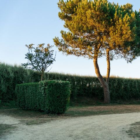 EMPLACEMENT - Emplacement nu avec électricité - 1 véhicule