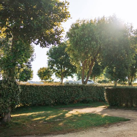 EMPLACEMENT - Emplacement stabilisé 2 personnes Electricité