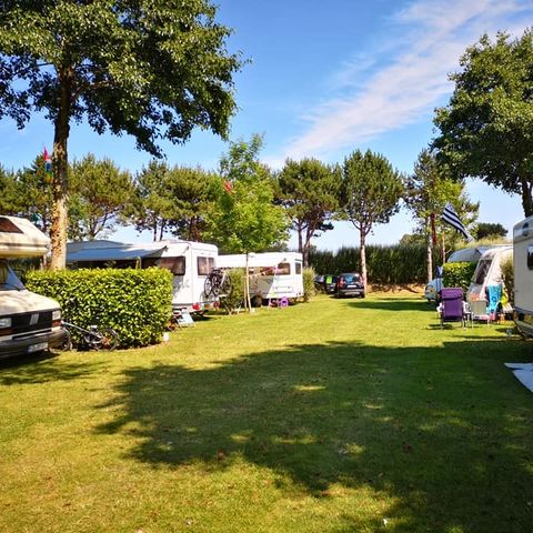 STAANPLAATS - Standplaats met 16A elektriciteit voor 2 personen + 1 voertuig