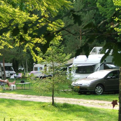 Stellplatz - Komfortstellplatz mit Strom 10A