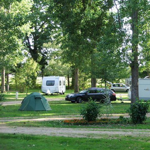 Stellplatz - Stellplatz Prestige 120m²