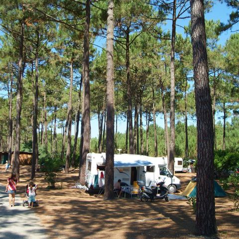 PLOT - Pitch 2 clovers - Without electricity