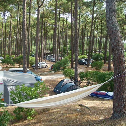 Pitch - Comfort pitch - without electricity