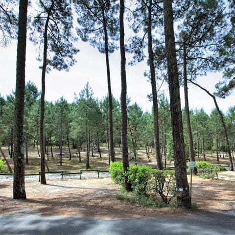 PIAZZOLA - Piazzola comfort - Elettricità