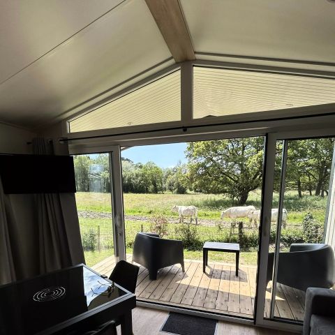 CASA MOBILE 4 persone - Casa mobile PRESTIGE 3 Camere 4 Persone + TV