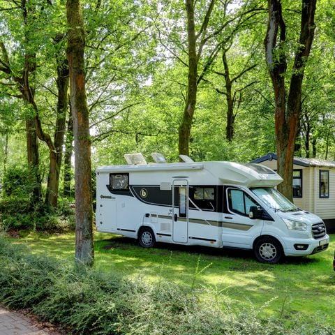 Stellplatz - Stellplatz mit Stromanschluss