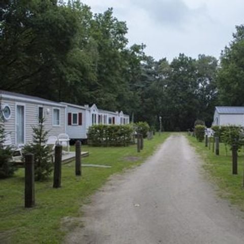 Floreal Holidays Camping Het Veen - Camping Flandre Occidentale - Image N°6